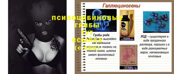 стаф Алексин