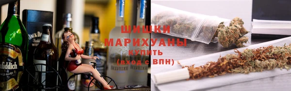 гидропоника Алзамай