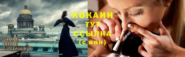 СК Семилуки