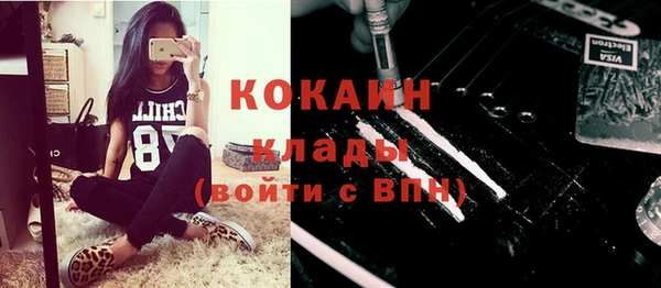 стаф Алексин