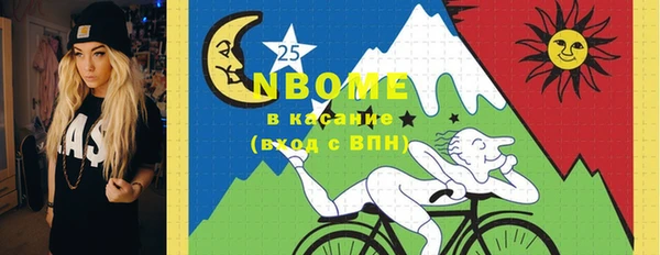 стаф Алексин