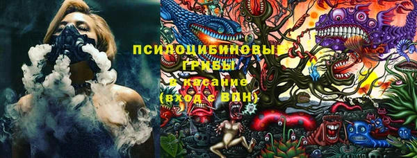 стаф Алексин
