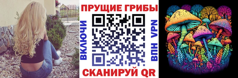 Псилоцибиновые грибы Magic Shrooms omg онион Камешково